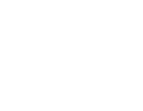 Stray VIII